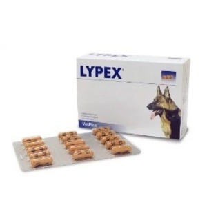 라이펙스 lypex 강아지 애견 고양이 췌장 괸리 보조제 영양제 모스트나인